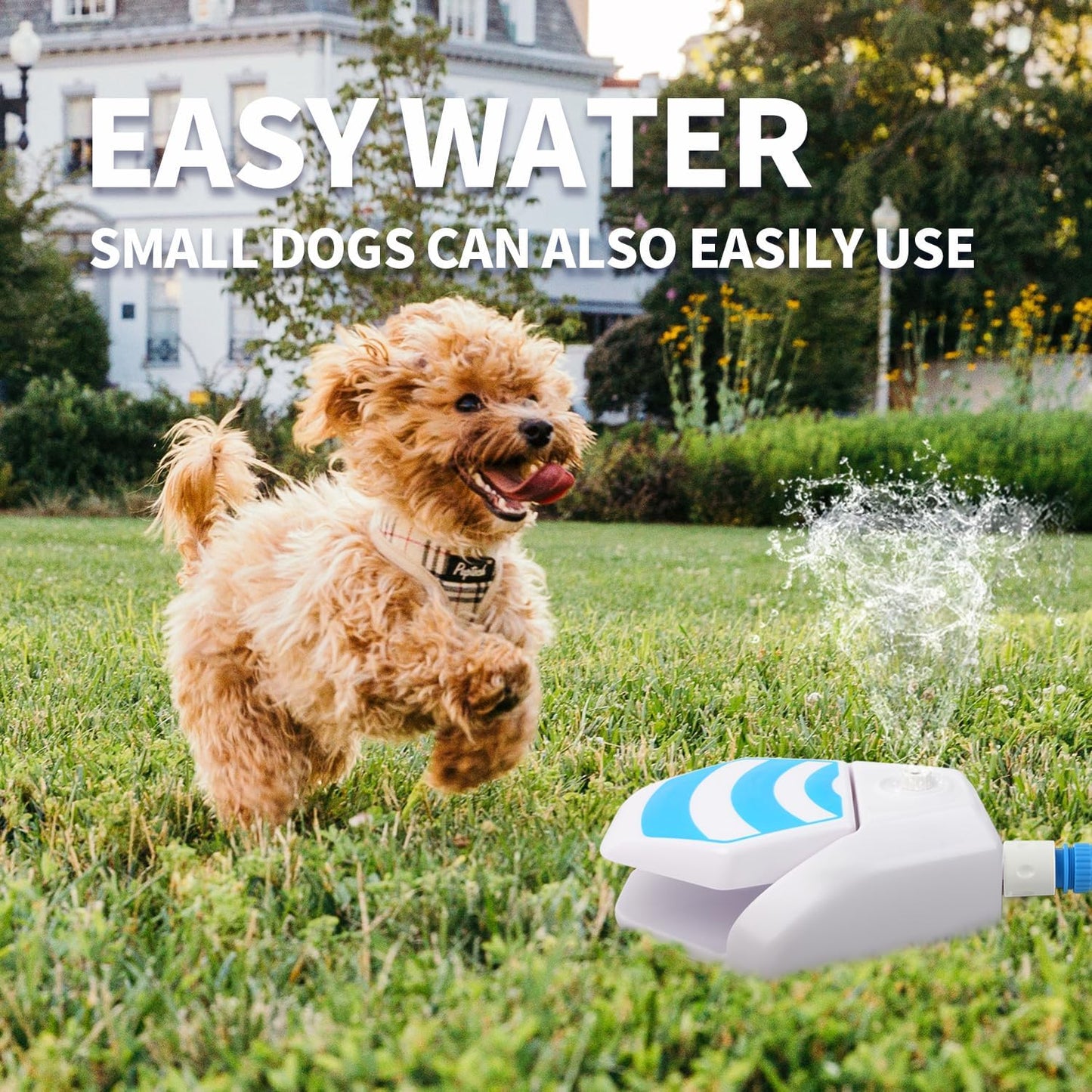 Paw Activated Dog Water Fountain – Outdoor Step-On Water Sprinkler for Dogs