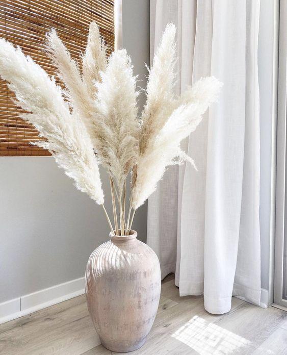 Large Snow White Pampas Grass