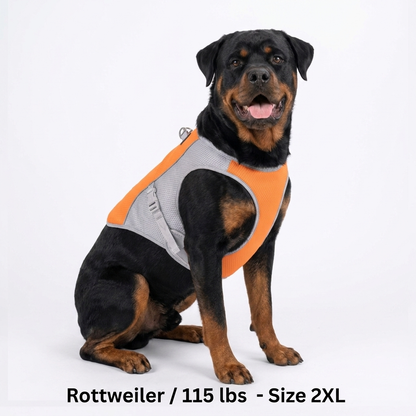 CoolPaws™ Evaporative Cooling Dog Vest