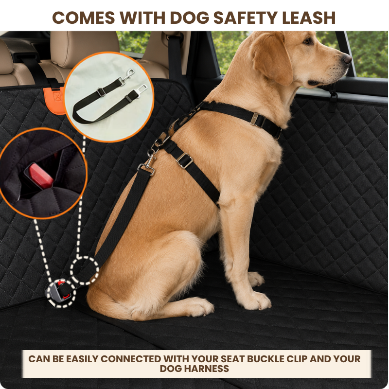 PawVoyage Car Backseat Extender & Dog Travel Bundle