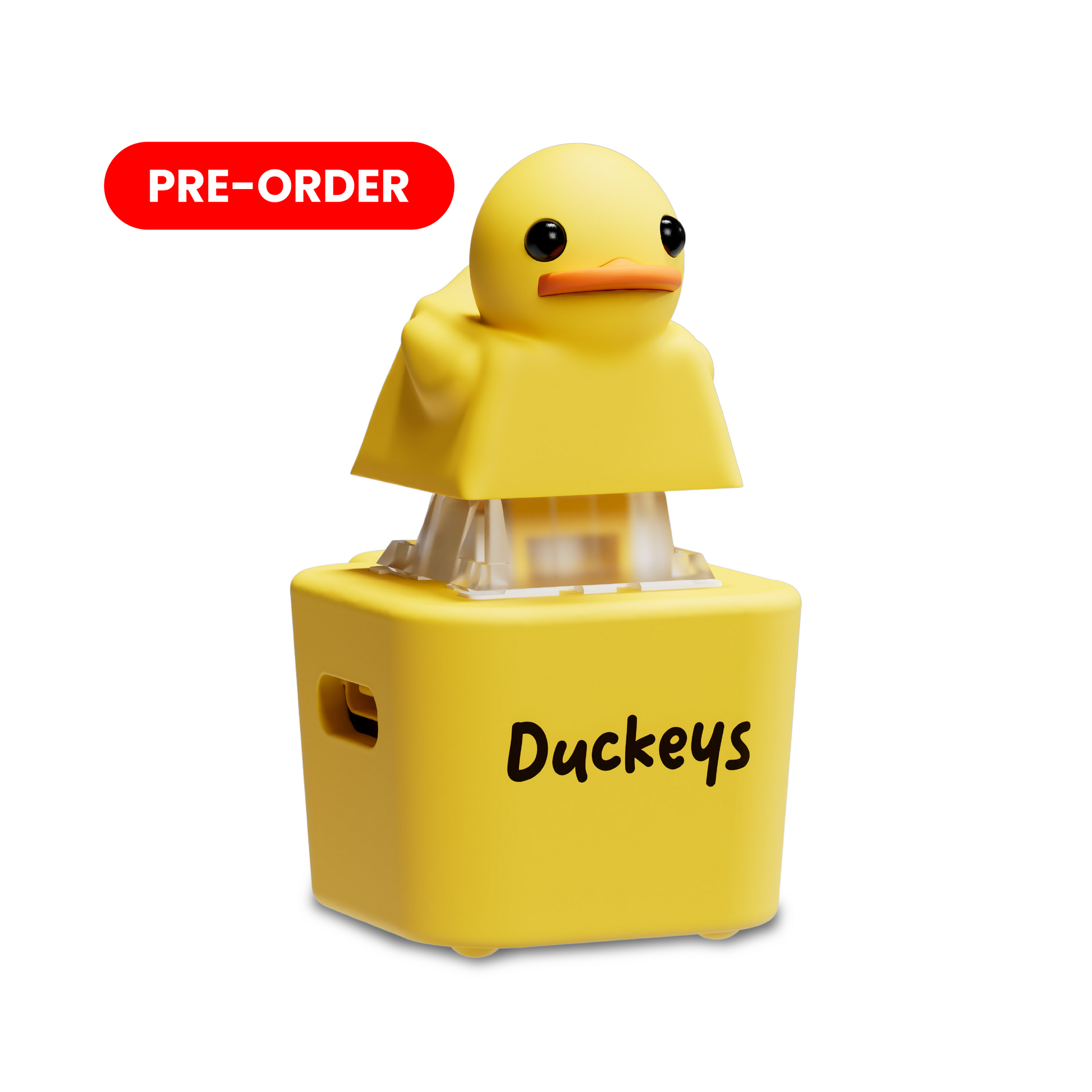 Quackey - Fidget Toy that Quacks! – Organzingway