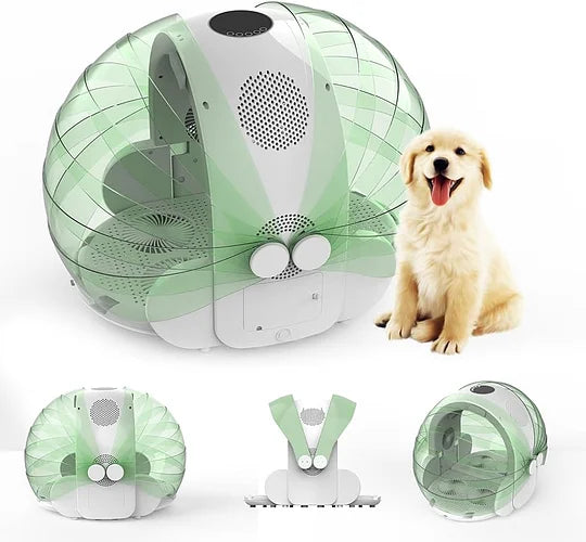 Automatic Pet Dryer Box
