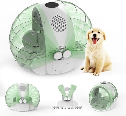 Automatic Pet Dryer Box