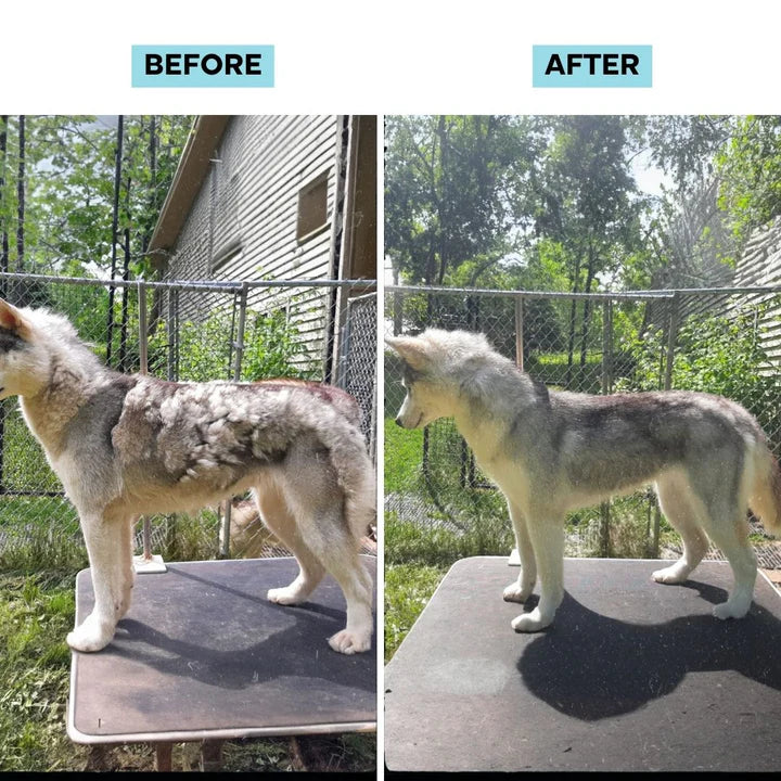 ProPaws All-in-One Pet Grooming Vacuum Kit