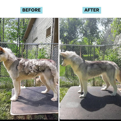 ProPaws All-in-One Pet Grooming Vacuum Kit