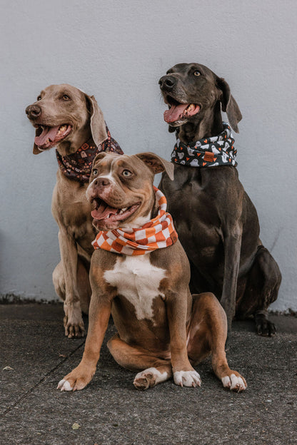 SpookyPaws Ghost Dog Scarf