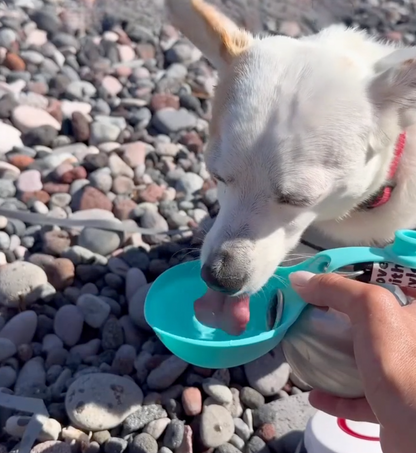 TrailSip Insulated Pet Travel Bottle