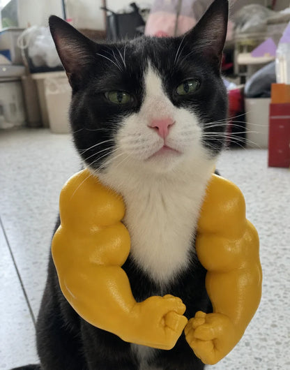 Buff Cat Arms Costume