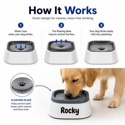 Anti-Spill Pet Water Bowl with Floating Water Plate