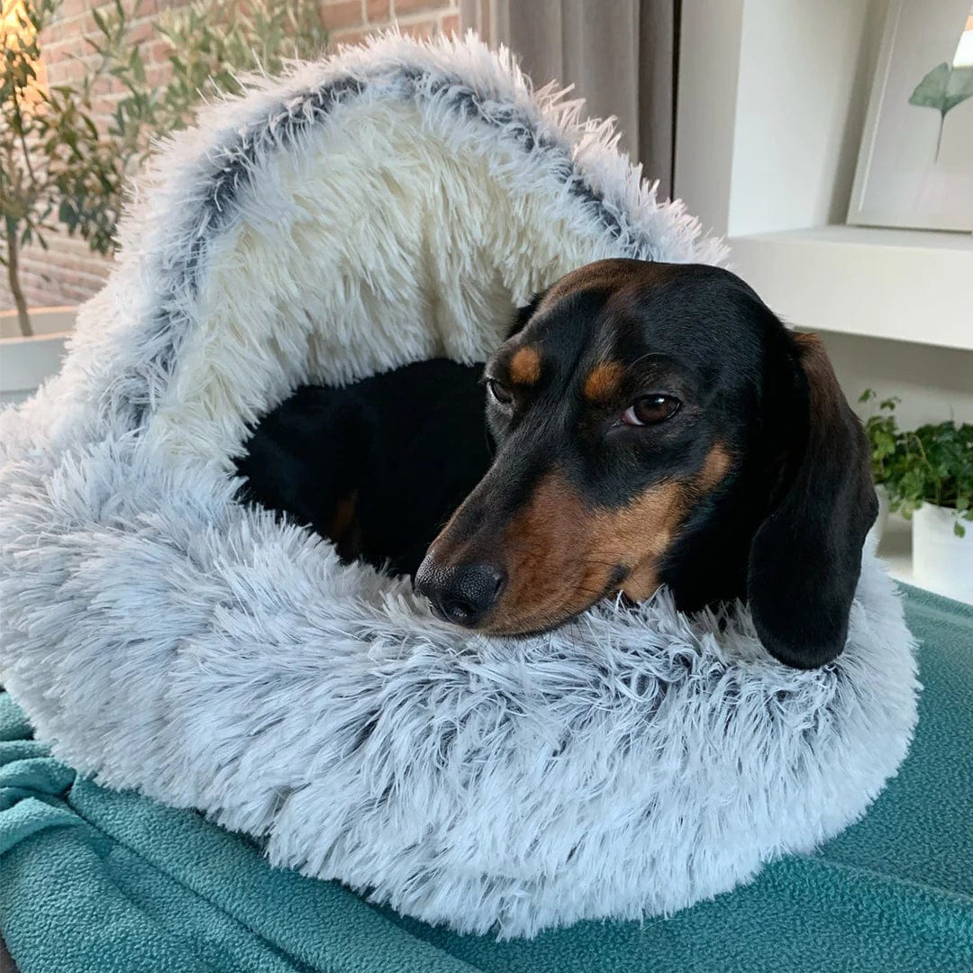 CozyNook Plush Fluffy Dog and Cats Round Bed