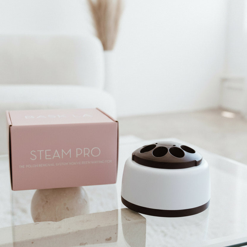 Steam Pro