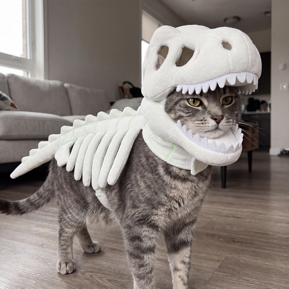 DinoSkeleton Plush Pet Toy