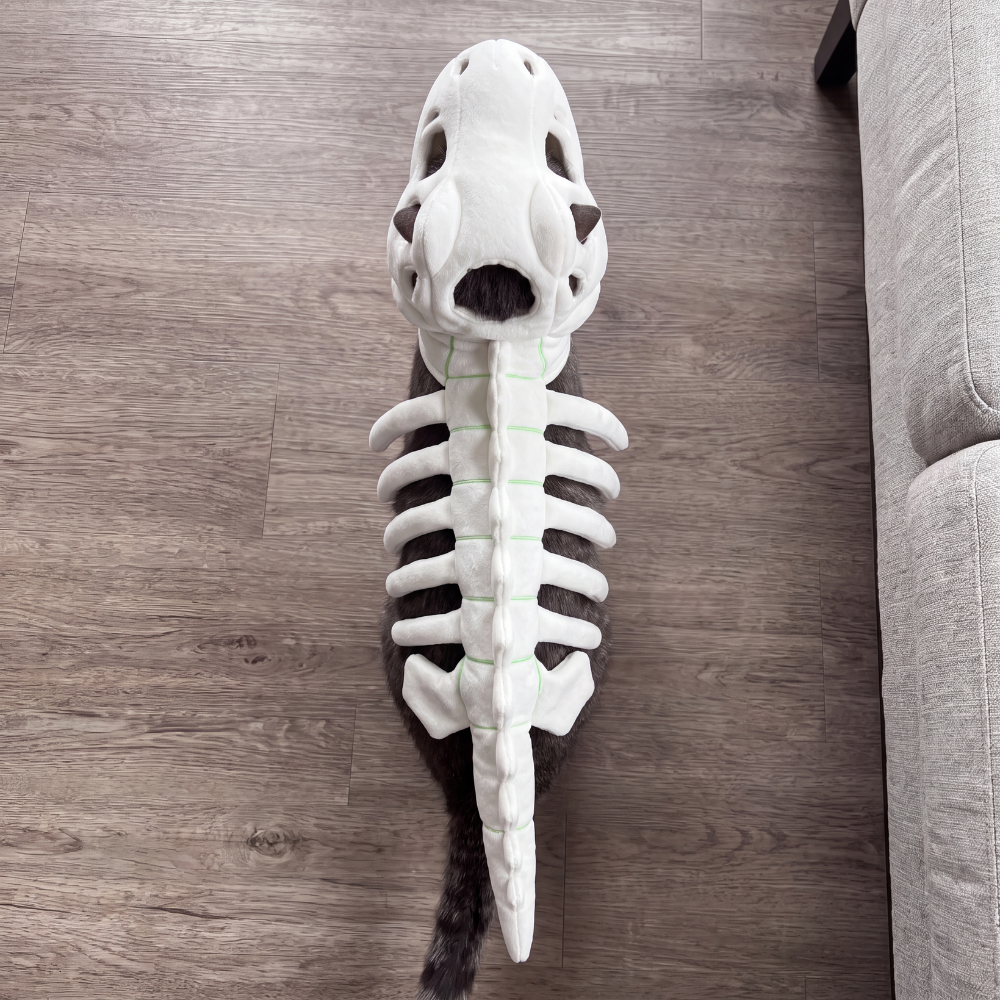 DinoSkeleton Plush Pet Toy