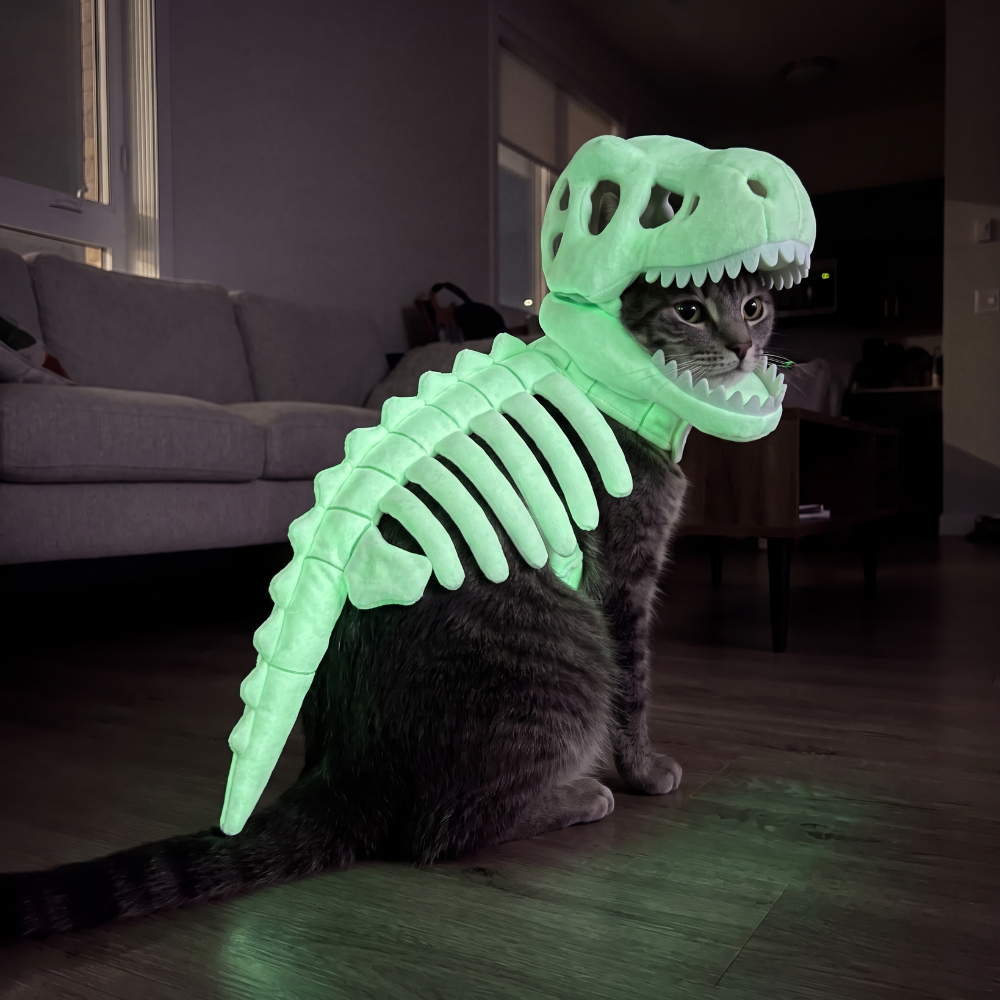 DinoSkeleton Plush Pet Toy