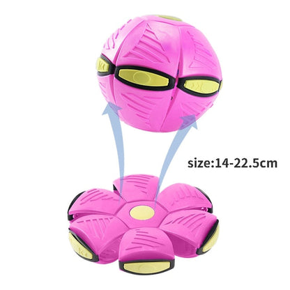 Dog Flying Saucer Ball - Free Today