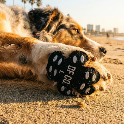 PawShield Dog Paw Protectors