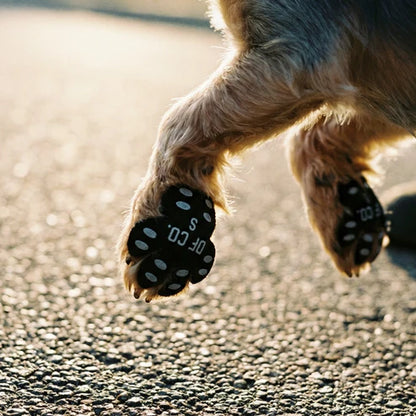 PawShield Dog Paw Protectors