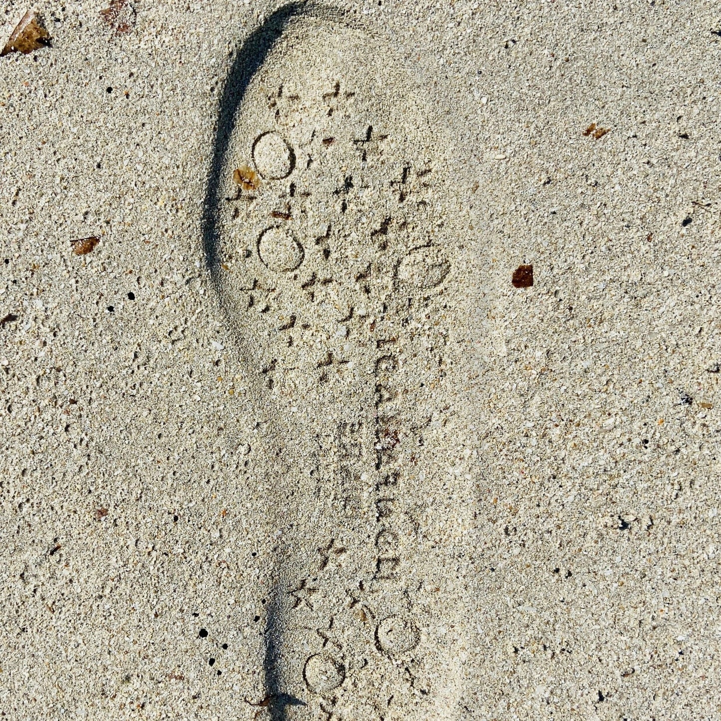 Beach Ballerina