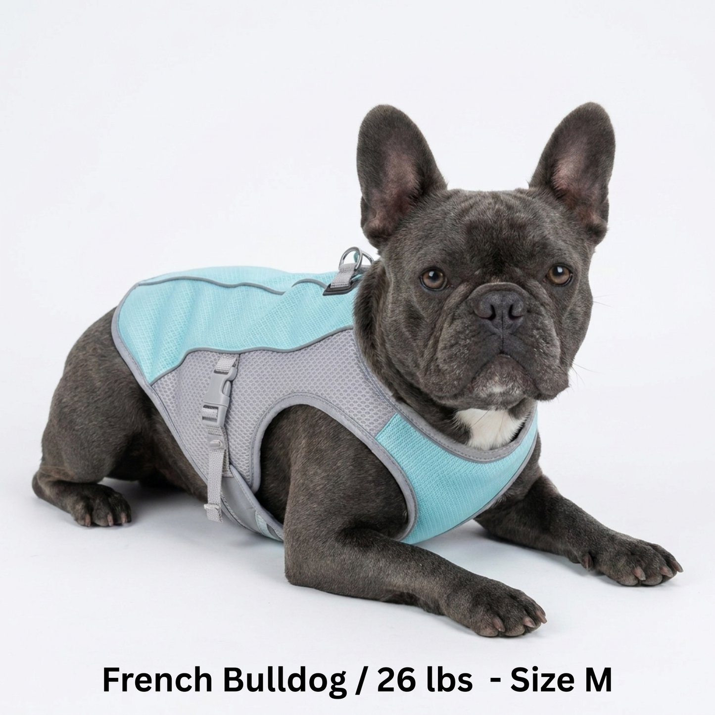 CoolPaws™ Evaporative Cooling Dog Vest