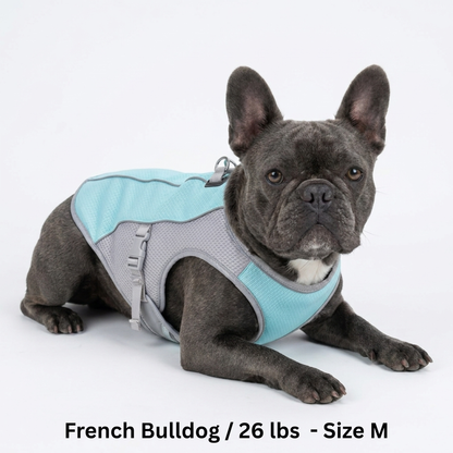 CoolPaws™ Evaporative Cooling Dog Vest