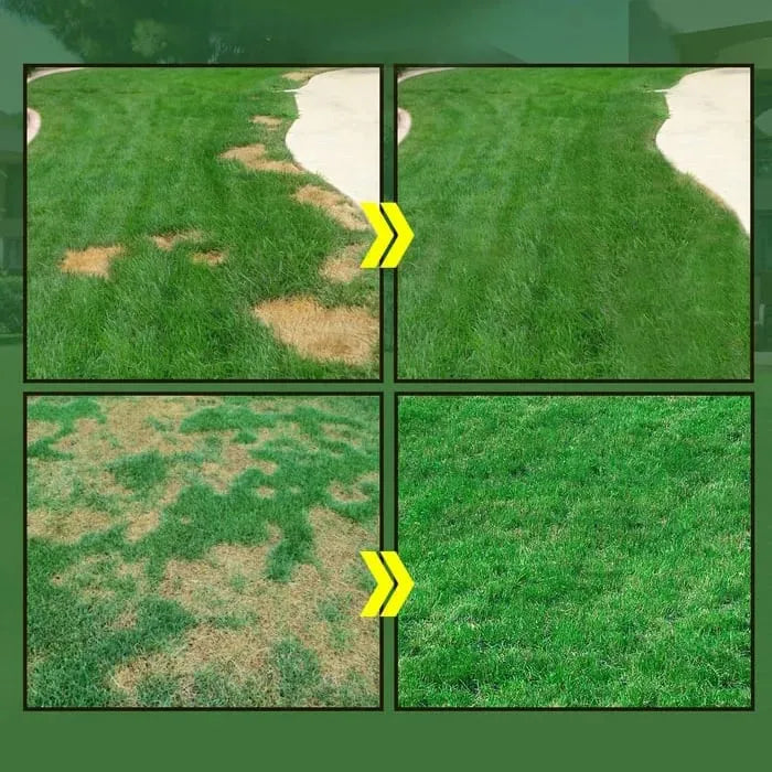 Last Day 50% OFF - GREENGROWN GRASS RENEWAL SYSTEM🌱LIMITED TIME OFFER