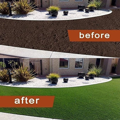 🔥LAST DAY 50% OFF-Grass Seed Mat: The Perfect Solution For Your Lawn Problems -Without Seed