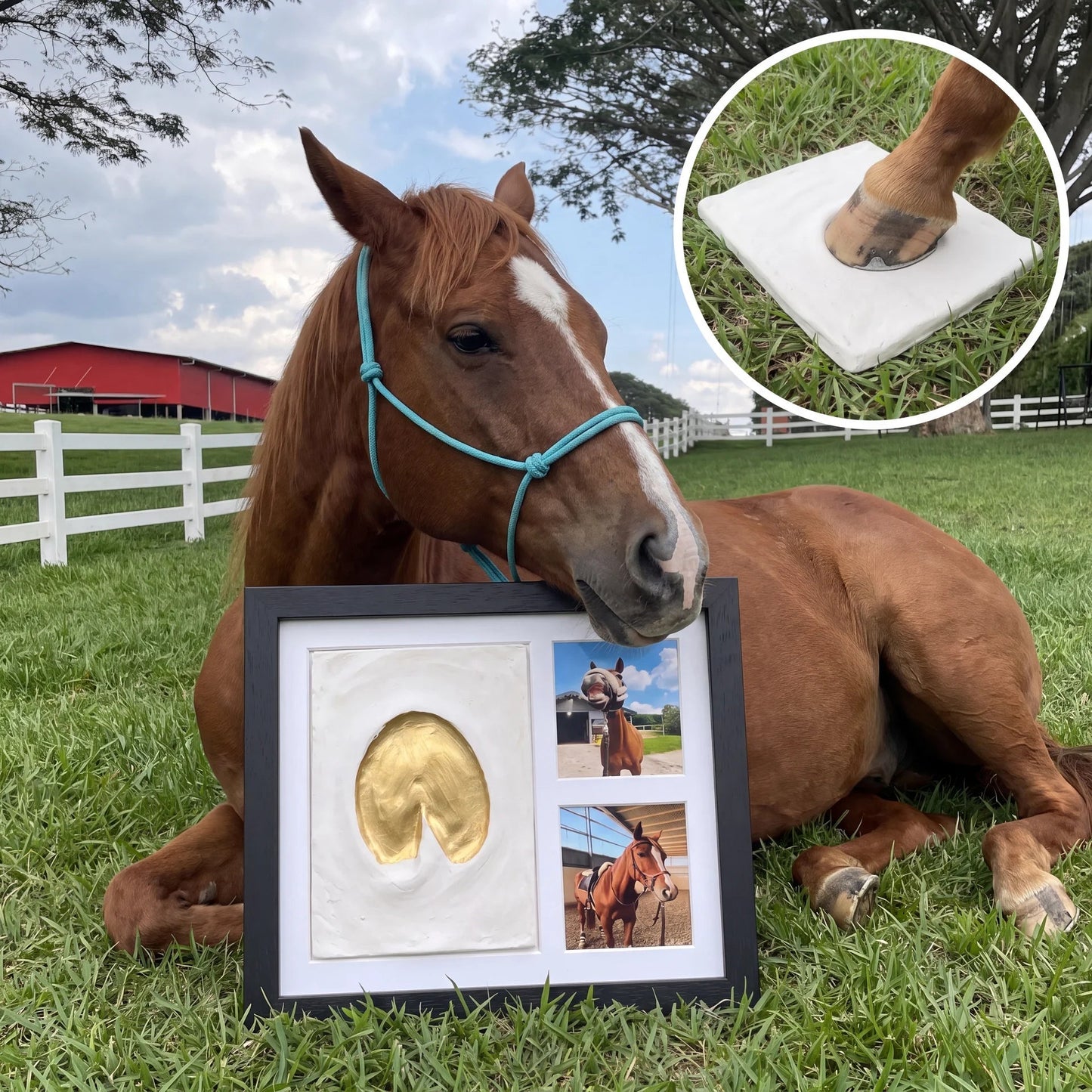 HoofLegacy™ Horse Hoof Impression Keepsake Kit