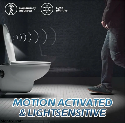 Motion Sensor Potty Training Light