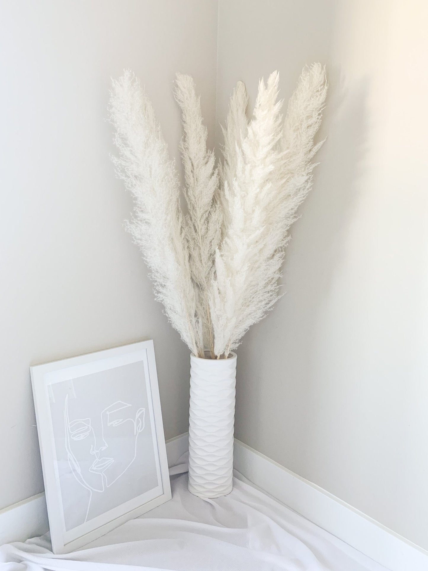 Large Snow White Pampas Grass
