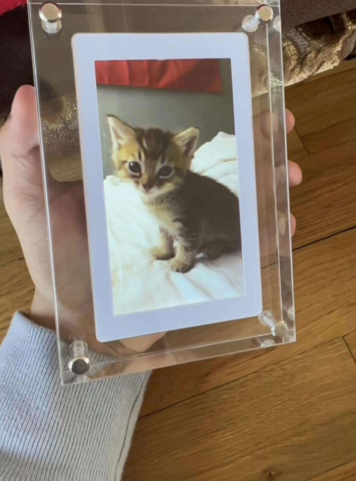 Infinity Frame