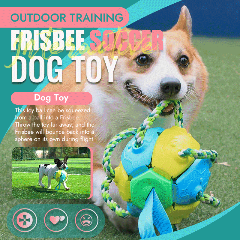 Interactive Flying Disk Ball Dog Toy