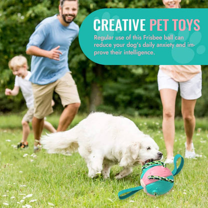 Interactive Flying Disk Ball Dog Toy