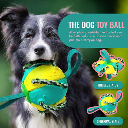 Interactive Flying Disk Ball Dog Toy