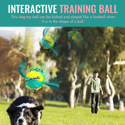 Interactive Flying Disk Ball Dog Toy
