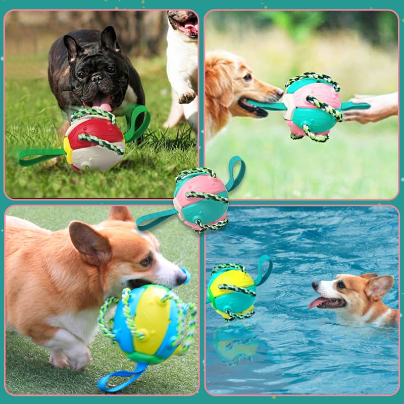 Interactive Flying Disk Ball Dog Toy