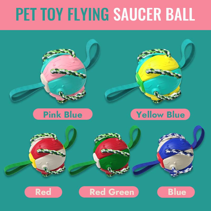 Interactive Flying Disk Ball Dog Toy