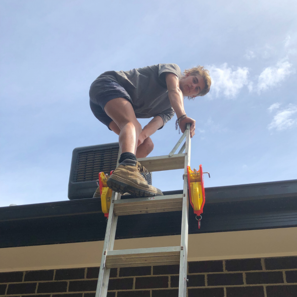 Lock Jaw Ladder Grip