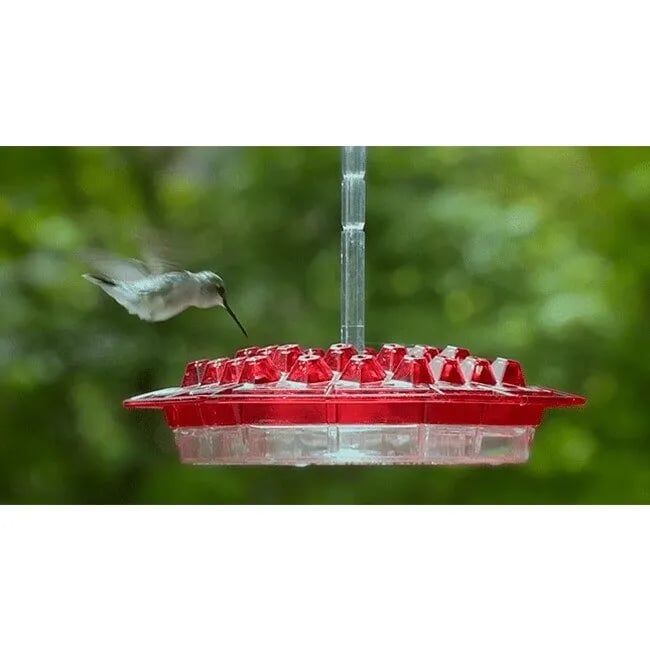 🔥LAST DAY 50% OFF-MARY'S HUMMINGBIRD FEEDER WITH PERCH