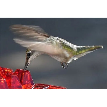 🔥LAST DAY 50% OFF-MARY'S HUMMINGBIRD FEEDER WITH PERCH