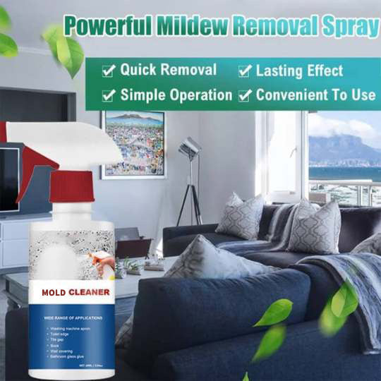 Mildew Cleaner Spray