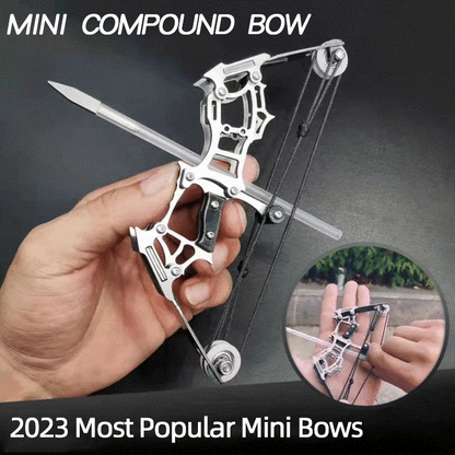 🎁Mini Bow and Arrow Set-Buy Two Free Shipping!