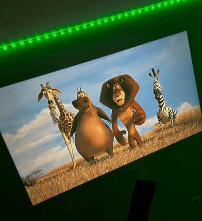 MiniProjector