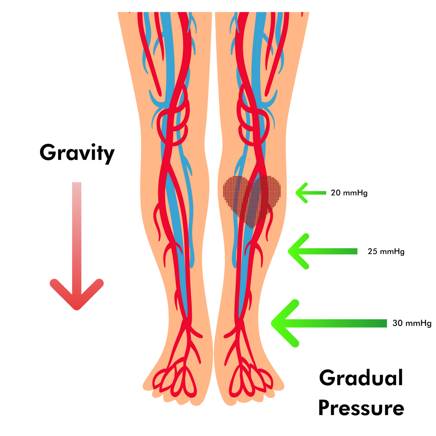 Nurse Yard CORE Compression Socks