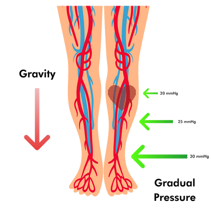 Nurse Yard CORE Compression Socks