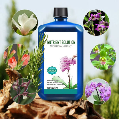 Orchids Plant Concentrated Nutrient Solution