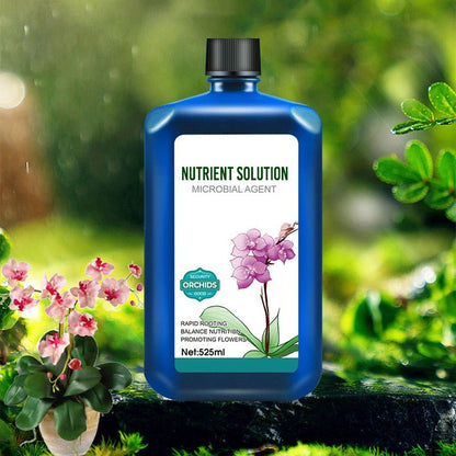 Orchids Plant Concentrated Nutrient Solution