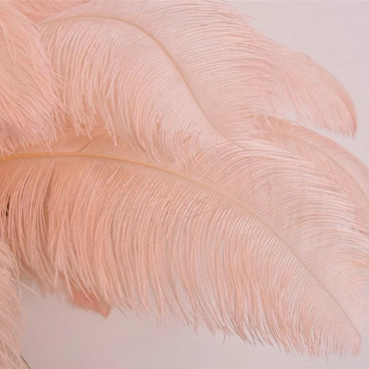 Luxury Ostrich Feather Resin LED Floor Lamp