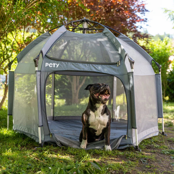 PETY large dog playpen set, with floor mat and roof