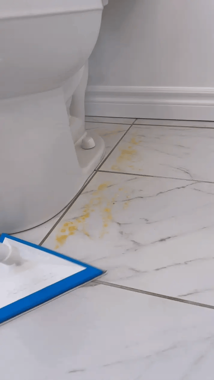 Mini Bathroom Mop & Holder System