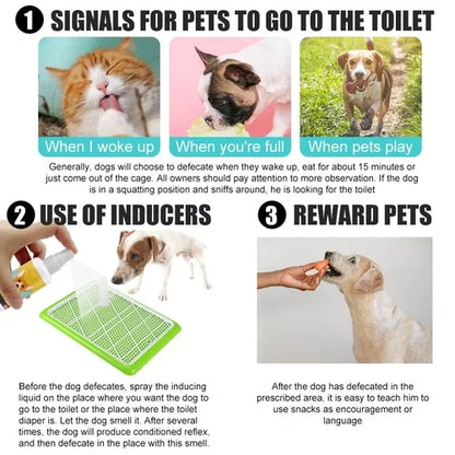 ⏰Blowout Sale-Pet Potty Here Training Spray(⭐patented product)